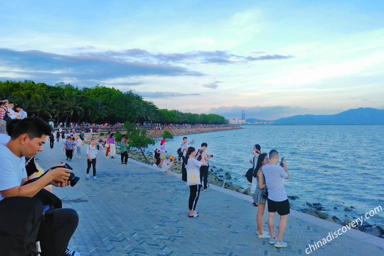 Shenzhen Bay Park