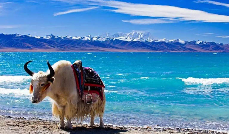 Beautiful and Sacred Namsto Lake Tibet Lhasa Namsto Tour
