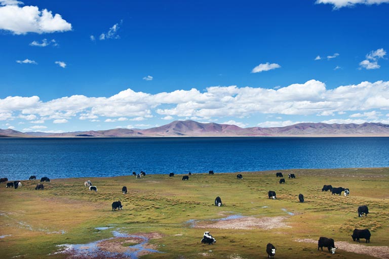 Picturesque Scenery of Cuona Lake along Qinghai Tibet Railway Lhasa to Beijing Train