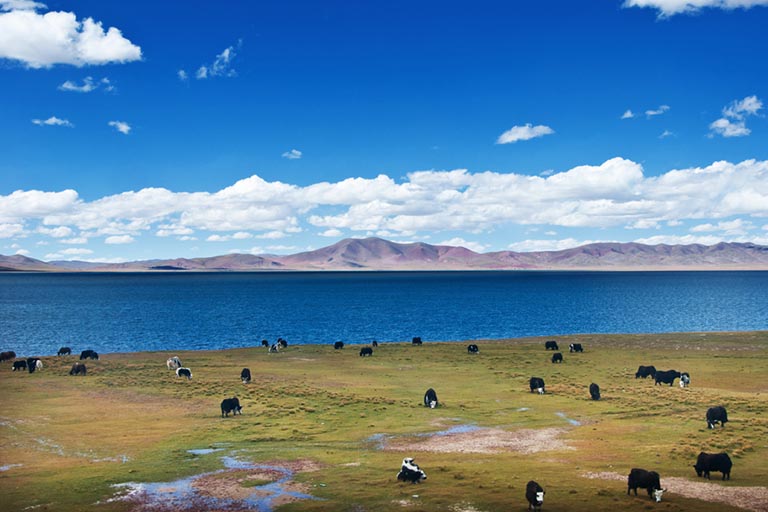 Lhasa to Beijing Train