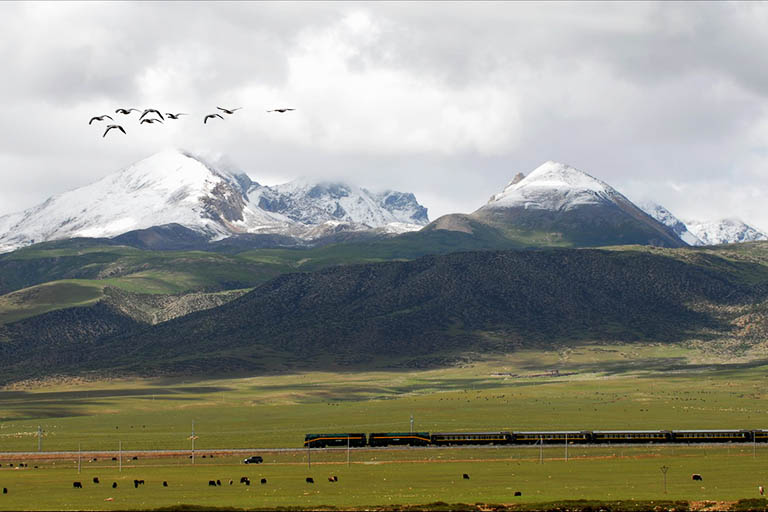 Train to Tibet