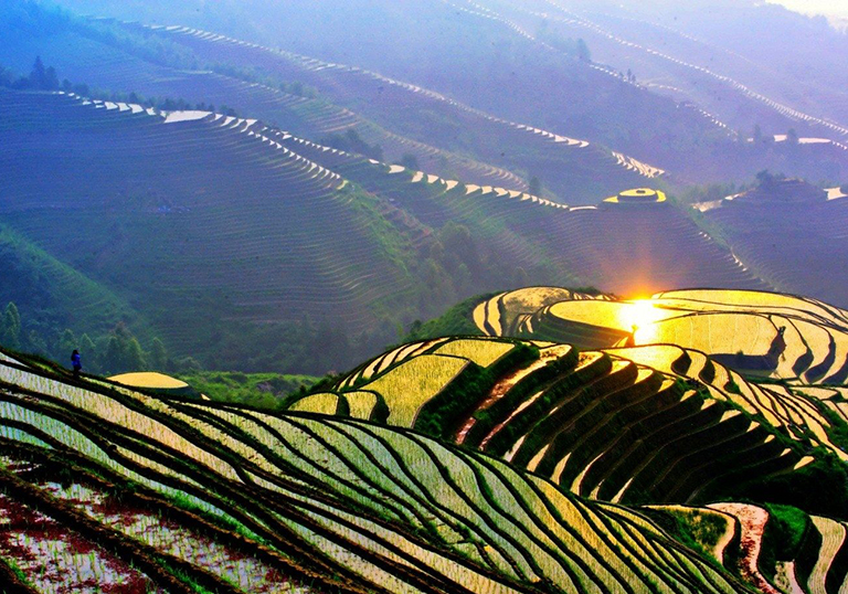 Longji Rice Terraces