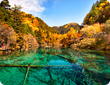 Chengdu Jiuzhaigou Tours