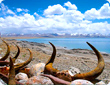 Lhasa Namtso Lake Tour