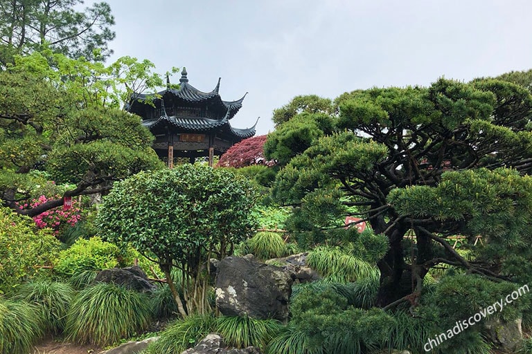 Shanghai Suzhou Tour