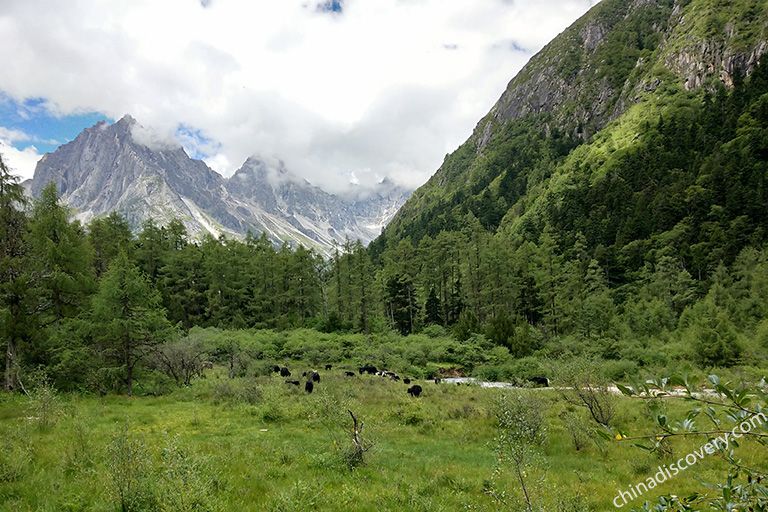 Bipeng Valley