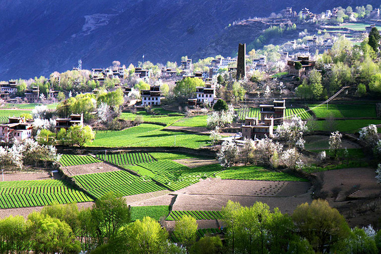 Jiaju Tibetan Village in Spring