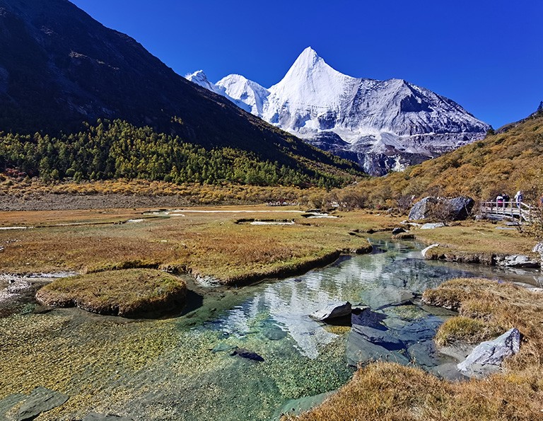 Chonggu Meadow