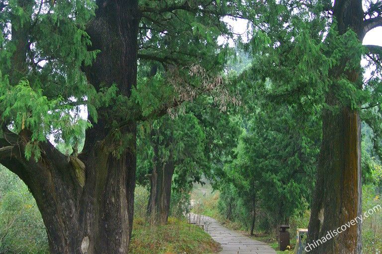 Cuiyun Corridor