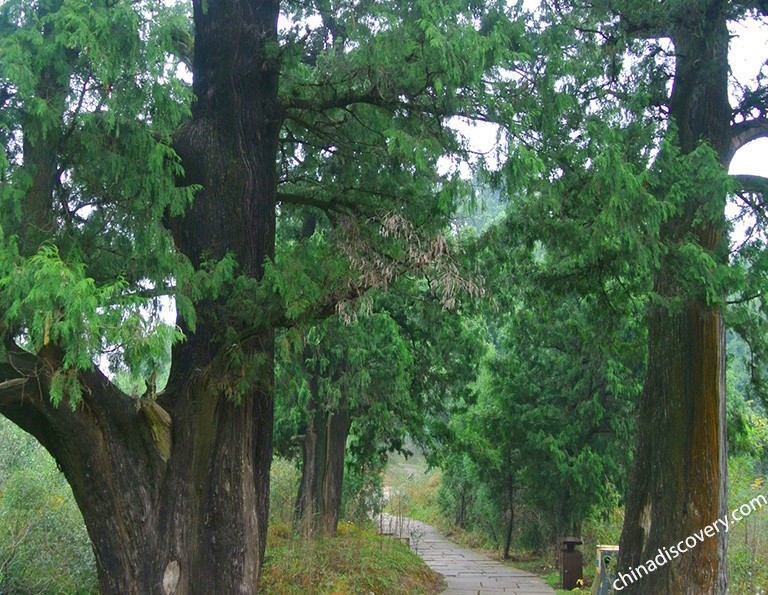 Cuiyun Corridor