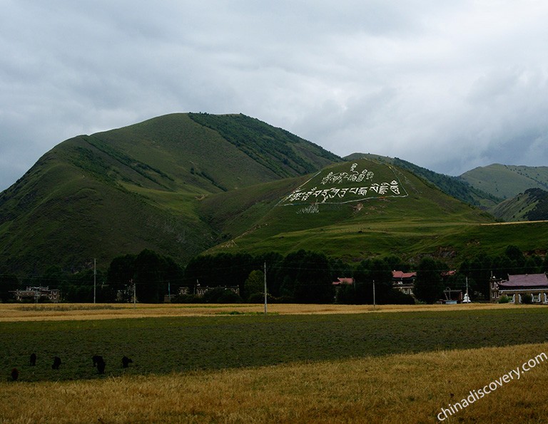 Xinduqiao Town Countryside Scenery in Autumn