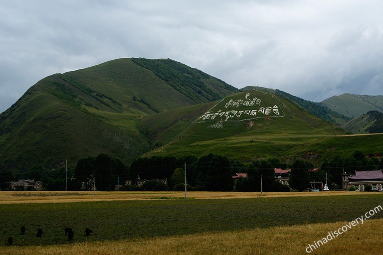 Xinduqiao Town Countryside Scenery in Autumn