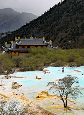 Sichuan Tour