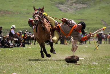 Horse Racing Festival