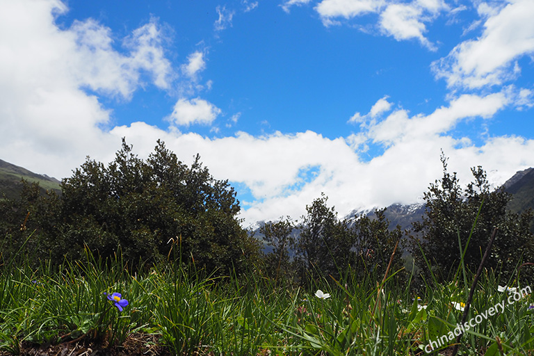 Mount Siguniang in Spring