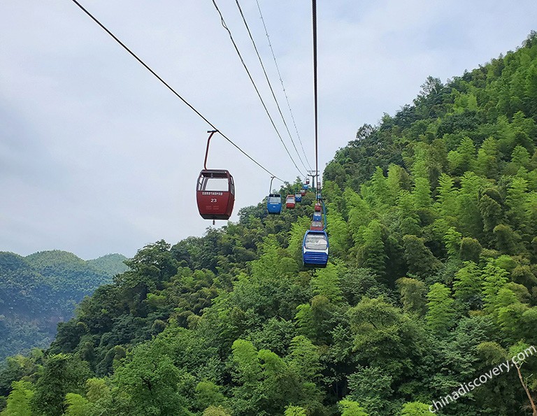 2,742-meter Cableway Experience through Bamboo Forest