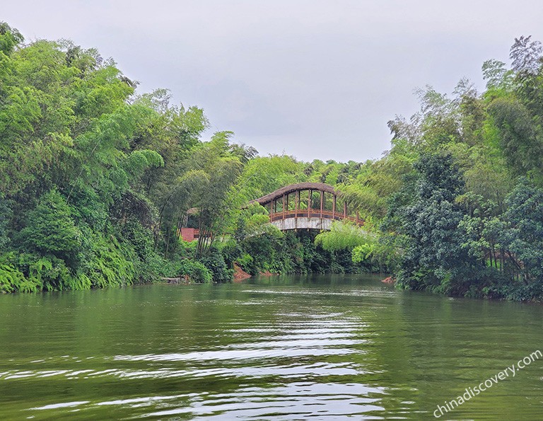 Shunan Bamboo Forest