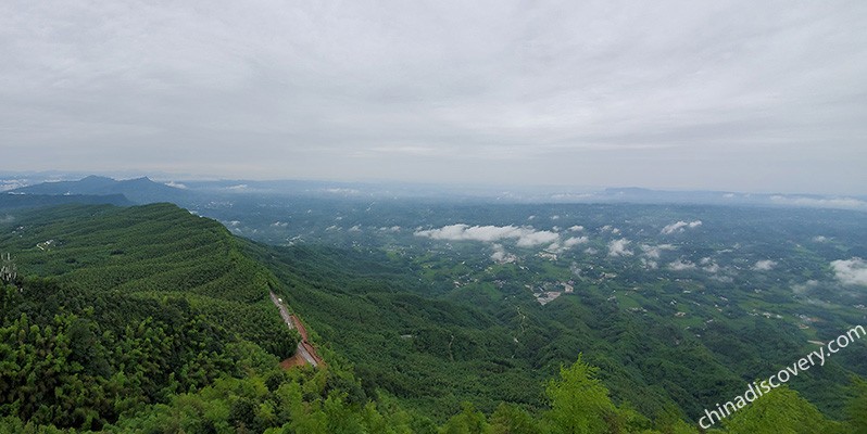 Shunan Bamboo Forest