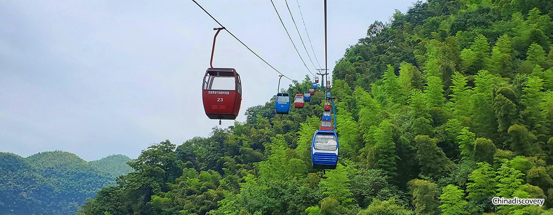 Shunan Bamboo Forest Tour