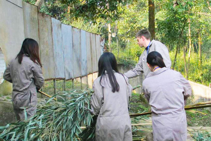 Bifengxia Panda Loving Care Program Participants in Ya'an Sichuan Tibet Railway - Chengdu to Ya'an Section
