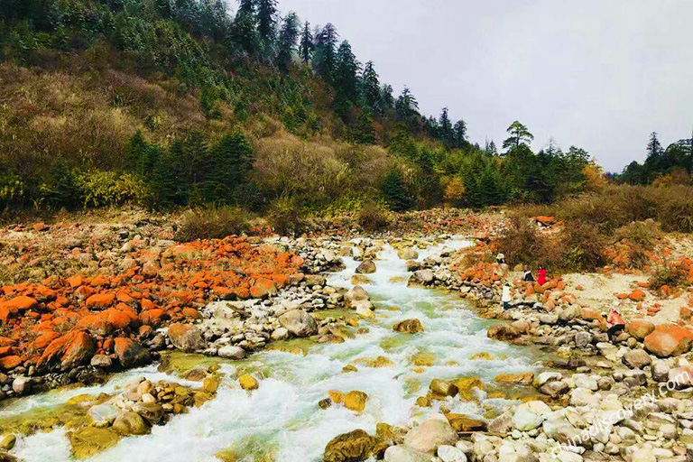 Best Places To Visit in Sichuan in Winter