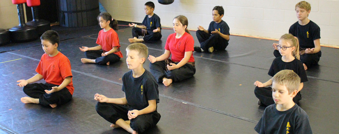 1 Day Kung Fu Experience & Panda Visit Tour
