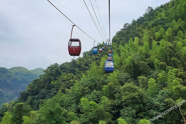 Shunan Bamboo Forest