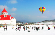 Customize Sichuan Tour 2025/2026