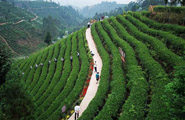 Customize Sichuan Tour 2025/2026