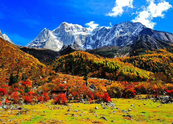 Yading Scenic Area Sichuan Weather and Climate - Sichuan Autumn