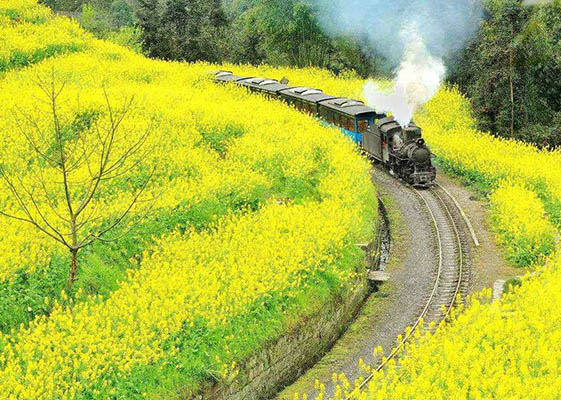 Jinchuan Pear Flowers Sichuan Weather and Climate - Sichuan Spring