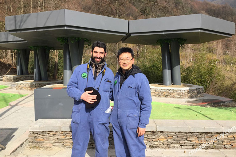 Shenshuping Base Volunteer Panda Cleaner