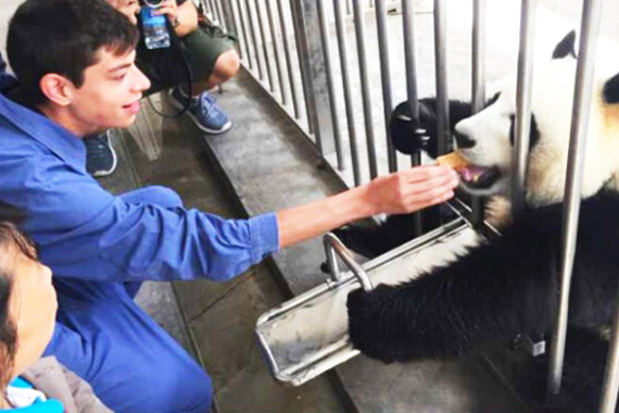 Shenshuping Base Volunteer Panda Feeding