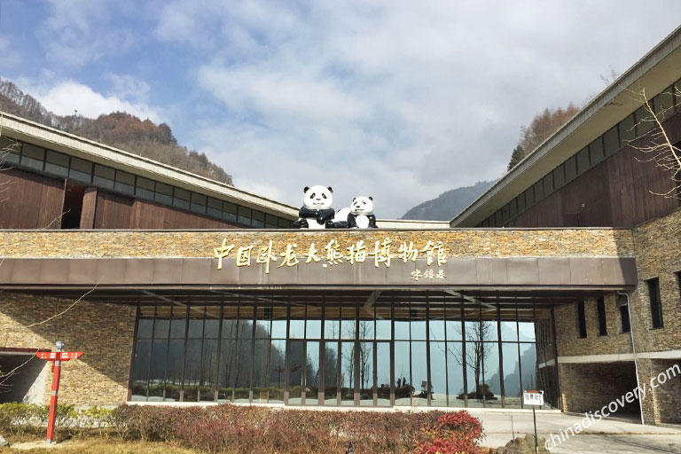 Shenshuping Panda Breeding Area Visiting