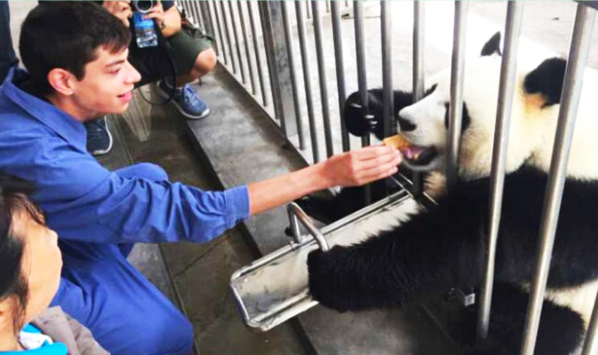 Feeding Pandas
