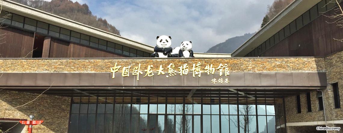 Wolong Panda Tour