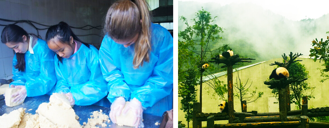 Chengdu Wolong Panda Tour - Panda Volunteer Program