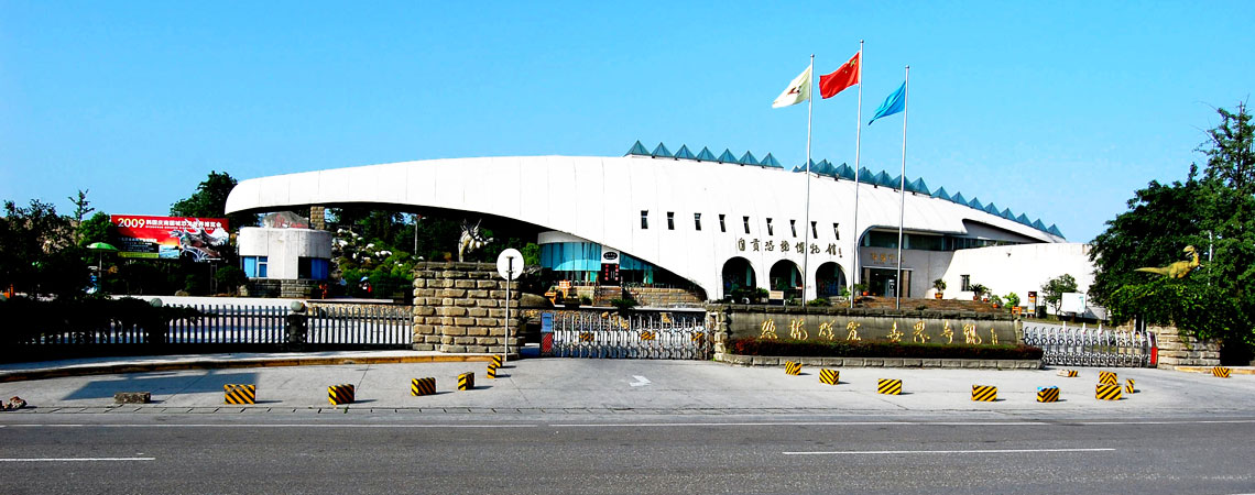 Zigong Tour
