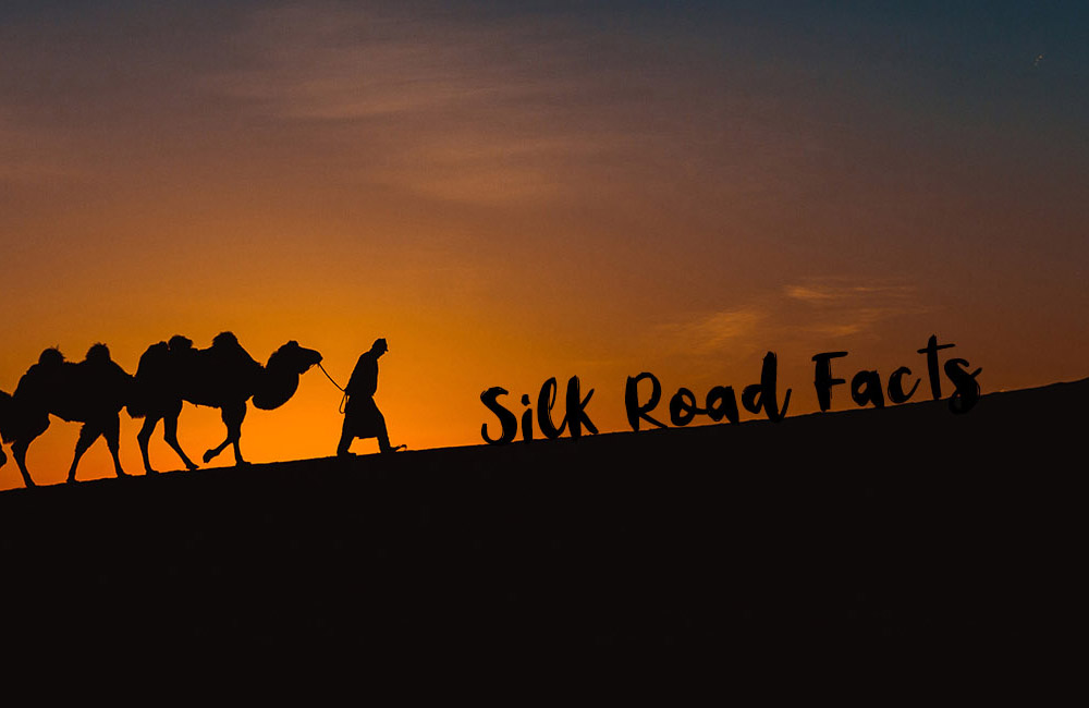 Silk Road Facts