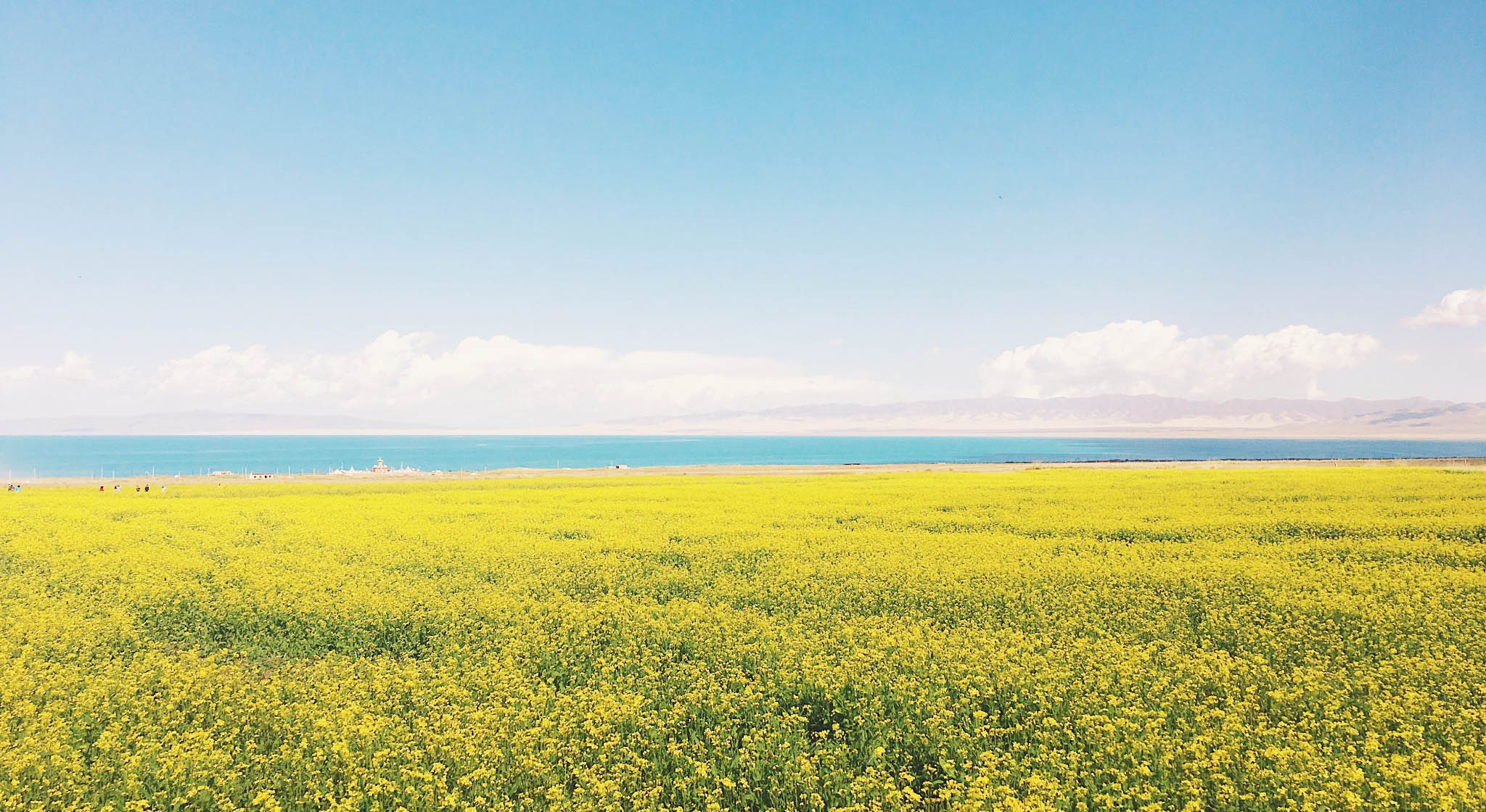 Qinghai Lake in Summer ©赵瑞鸥 / mafengwo How to Plan a Silk Road Travel - Silk Road Trip Planner