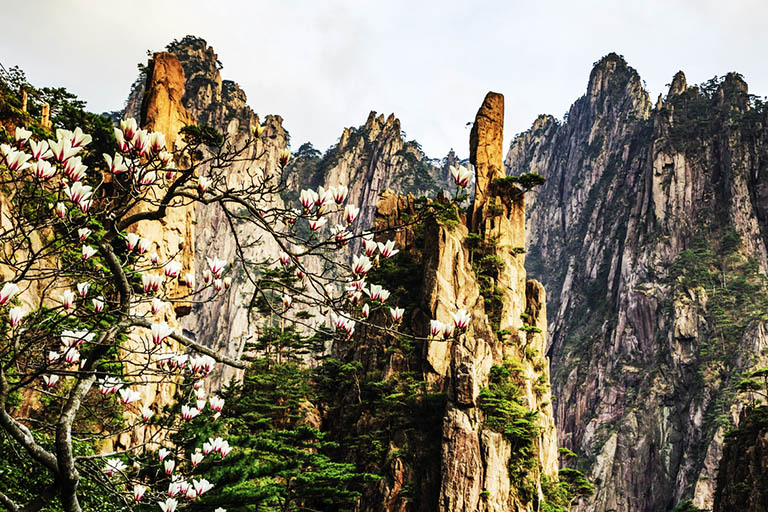 Best Destinations to Visit in China in Spring