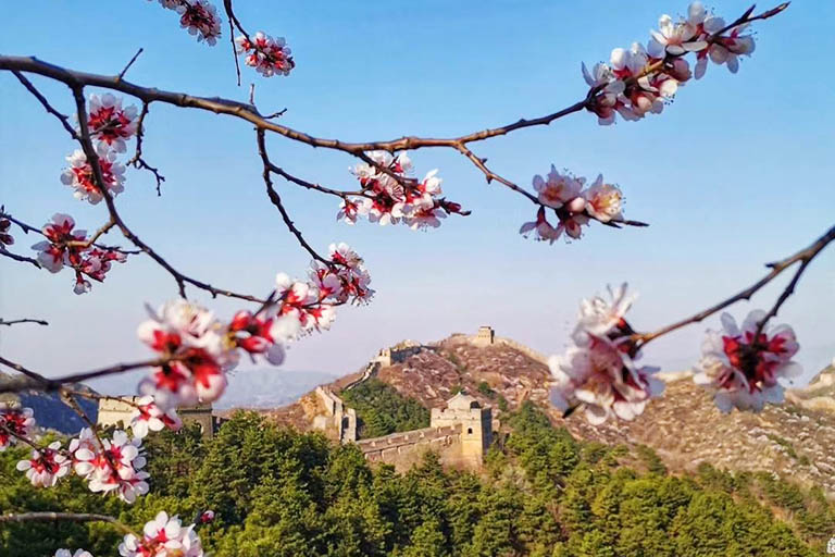 Best Destinations to Visit in China in Spring