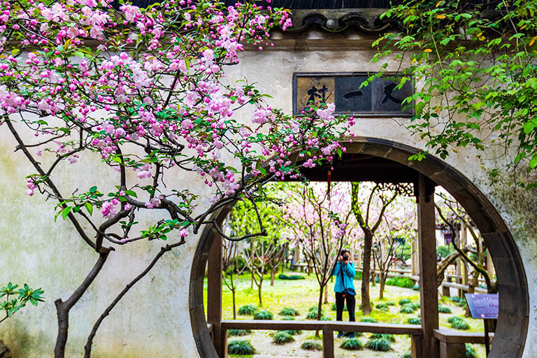 Best Destinations to Visit in China in Spring