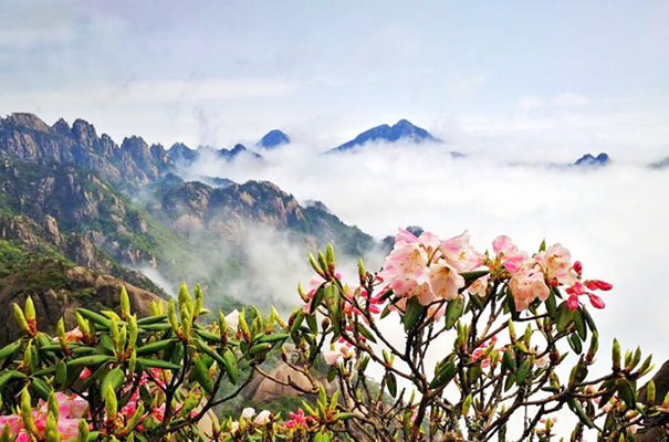 Best Destinations to Visit in China in Spring