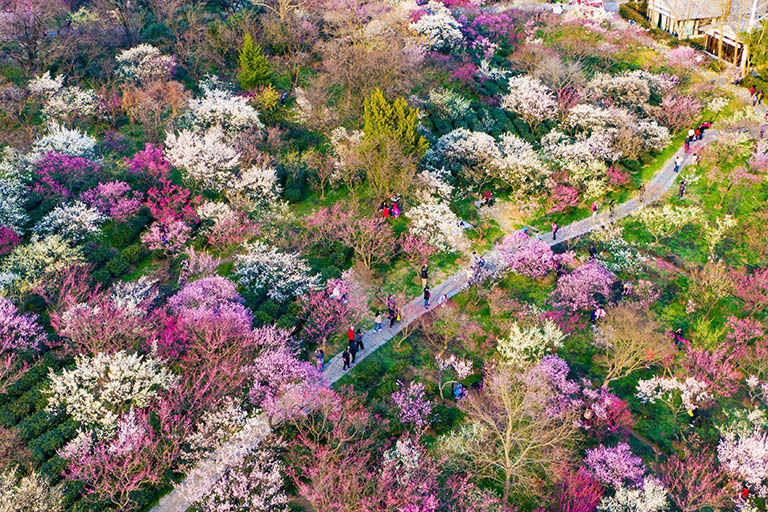 Best Destinations to Visit in China in Spring