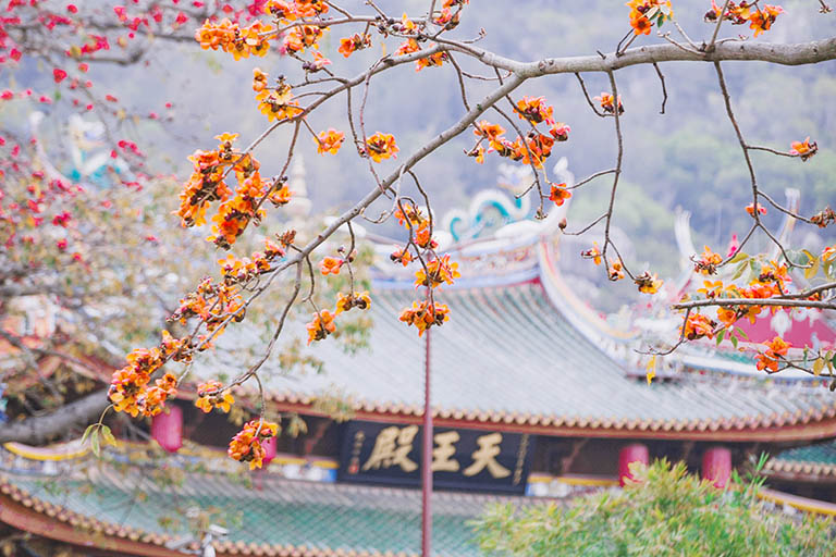 Best Destinations to Visit in China in Spring