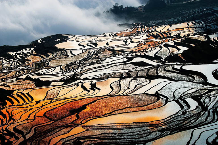 Yunnan Yuanyang Rice Terrace in Spring