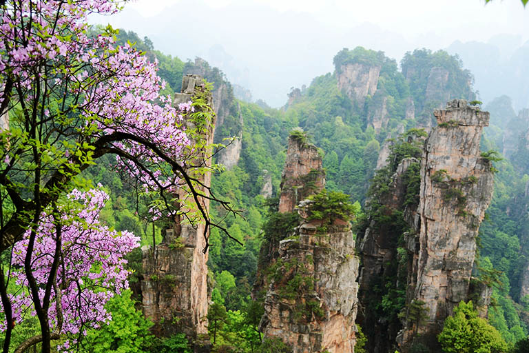 Best Destinations to Visit in China in Spring