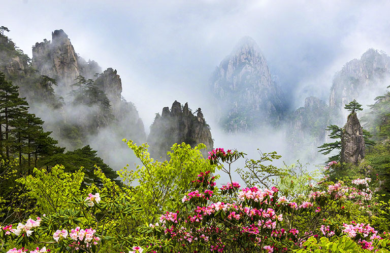 Huangshan in May China in May