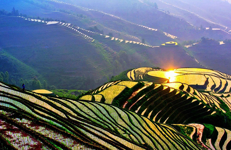 Longsheng Rice Terraces in May China in May